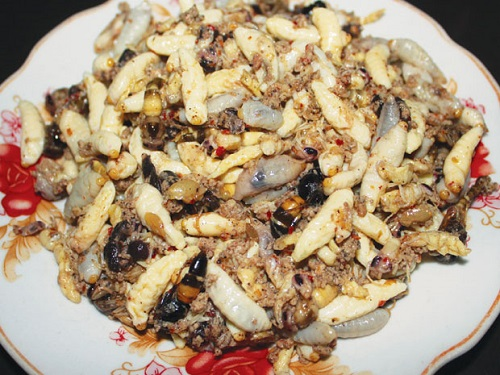 Ota Viet Nam 1 523