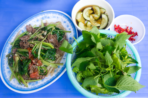 Ota Viet Nam 1 554
