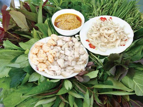 Ota Viet Nam 1 571