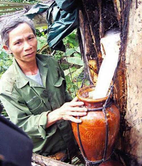 Ota Viet Nam 1 574