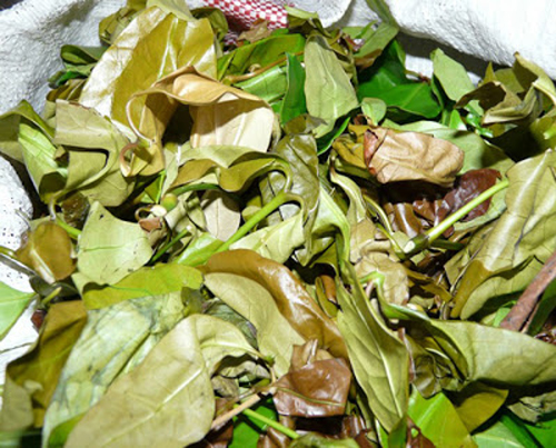 Ota Viet Nam 1 7