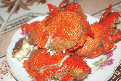 Ota Viet Nam 1 700