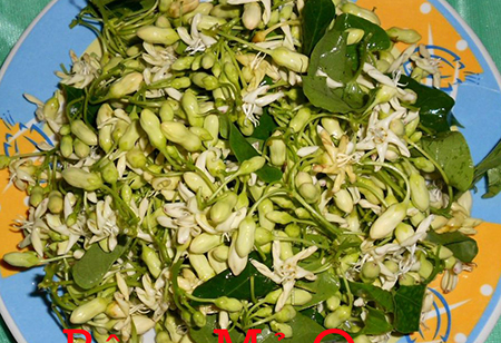 Ota Viet Nam 1 718