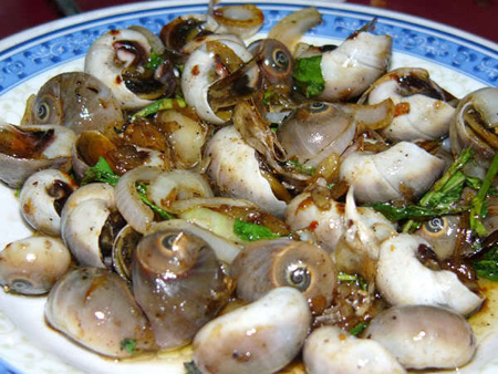 Ota Viet Nam 1 737