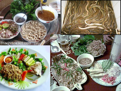 Ota Viet Nam 1 738