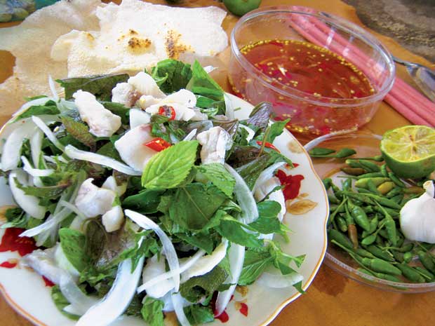 Ota Viet Nam 1 740