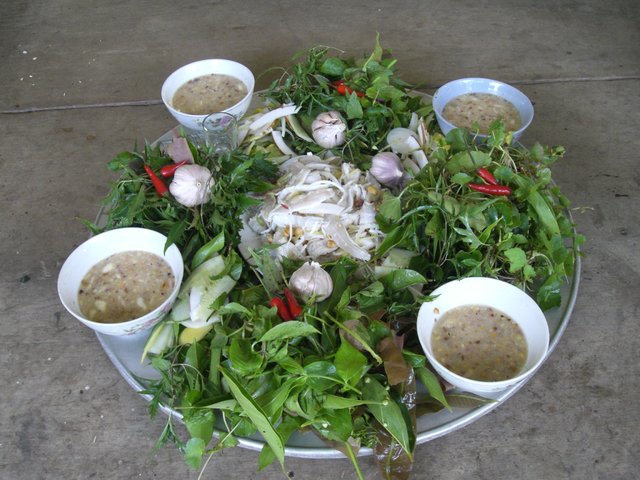 Ota Viet Nam 1 741
