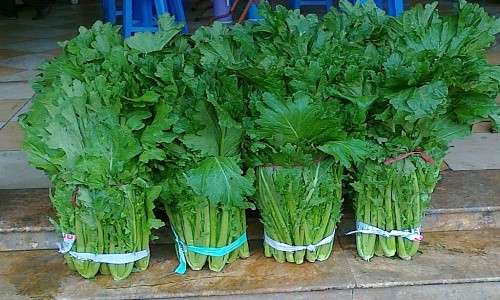 Ota Viet Nam 1 8