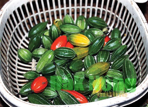Ota Viet Nam 1 9