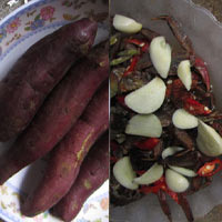 Bakhiakhoailan