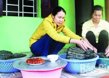 Banh Gio Song Van 1