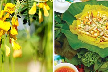 Banxeobongdiendien 1