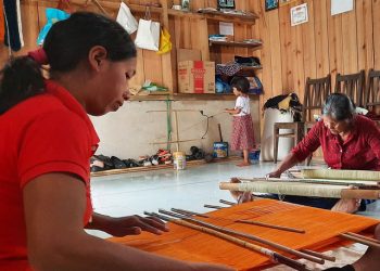 Baotonnghedetthocam 1