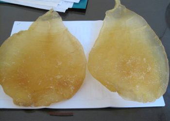 Bongbongcasoctrang