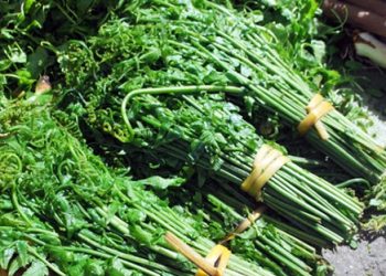 Bonloairaudacsannuirung 1