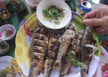 Canienchienquangnam 1