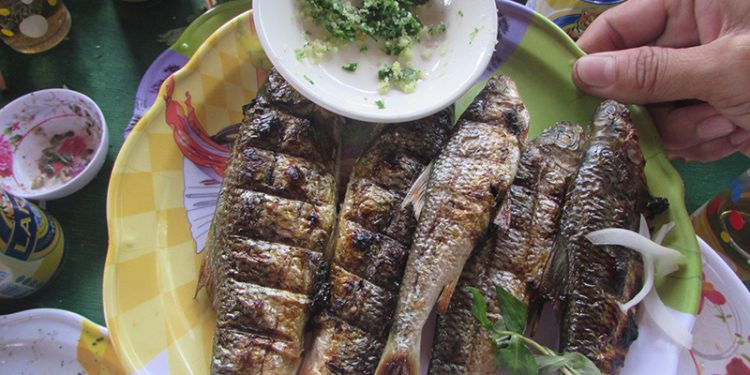 Canienchienquangnam 1