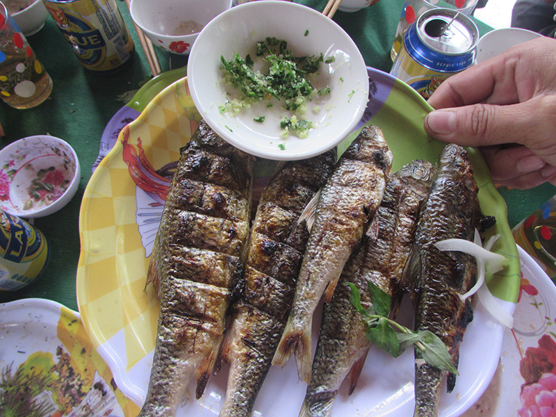 canienchienquangnam