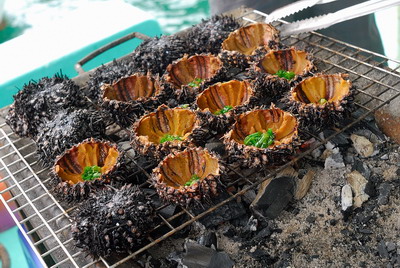 Caugaidacsanquangngai