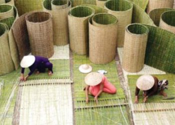 Chieuanthanh 1