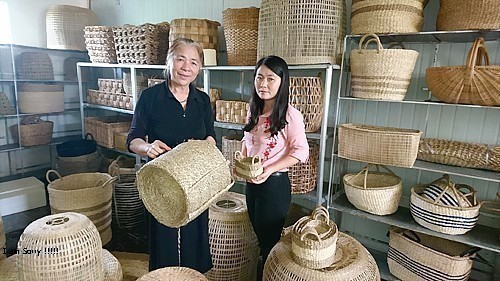 coingasonthanhhoa