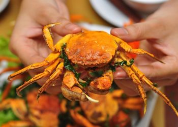 Cuacaradacsanthaibinh 1