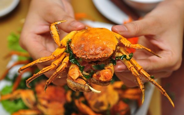 Cuacaradacsanthaibinh 1