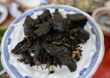 Dacsanchuotsamngoclinh 1