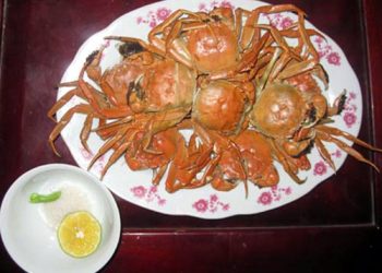 Dacsancuadabacgiang