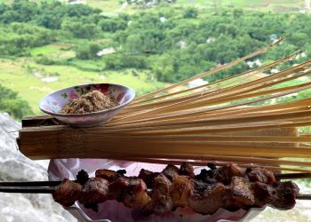 Dacsanpuluongtaybac 1