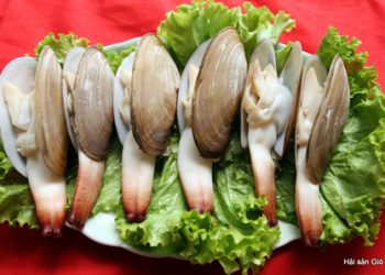 Dacsantuhaiquangninh 1