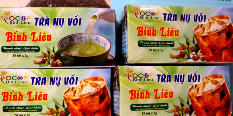 Dandannuvoibinhlieu 1