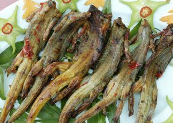 Giongninhthuan