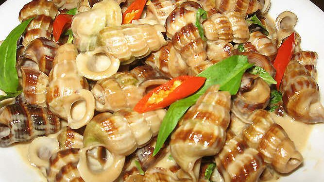 Hapdanamthuchaugiang 1