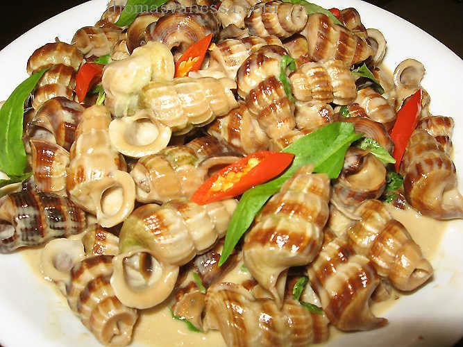 hapdanamthuchaugiang
