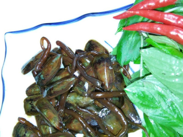 hapdancaxiu