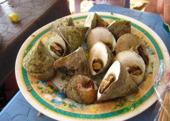 Lamiengocvunanghoian 1