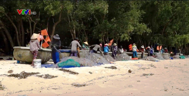 Langchaicatrichphuquoc 1