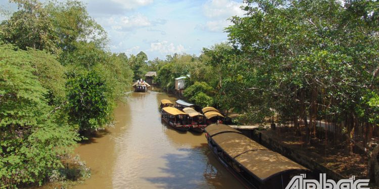 Langco Dong Hoa Hiep2