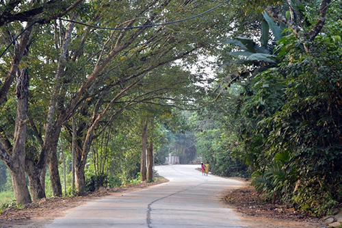 Langcohoian 1