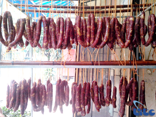 lapsuonhunkhoi