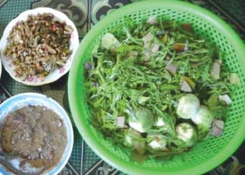Mamlongtong1.1