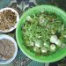 Mamlongtong1.1