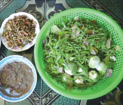 Mamlongtong1.1