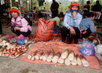 Mangdangbanocho 1