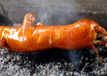 Monandatdaingankontum 1