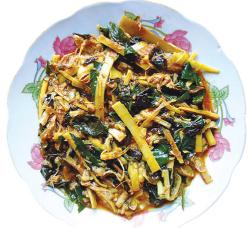 moncanhthuthapdan