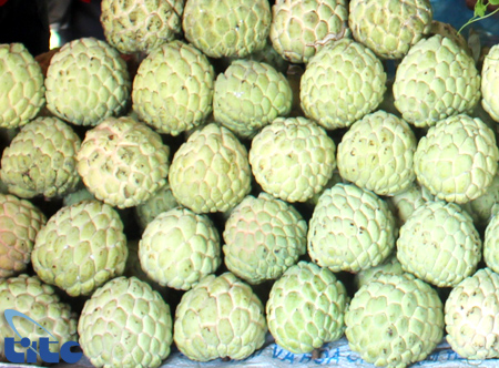 nachilang