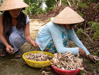 Nammoibentre 1