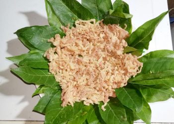 Nembui 1